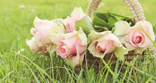 April spring basket image