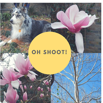 Oh Shoot by Ms P Designs USA