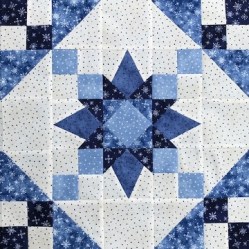Florida Star by Ms P Designs USA