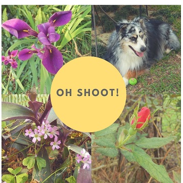 Oh Shoot Volume 2 by Sharon @ Ms P Designs USA