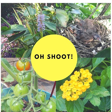 Oh Shoot Vol 3 by Ms P Designs USA