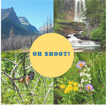 Oh Shoot! Volume 4 by Sharon @ Ms P Designs USA