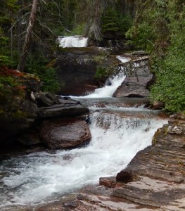 Virginia Creek Cascade GNP July 2019 by Sharon @ Ms P Designs USA