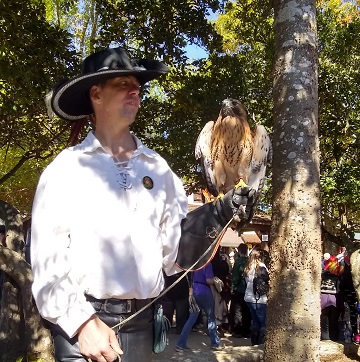 Hawk with Handler Ren Fest by Sharon @ Ms P Designs USA