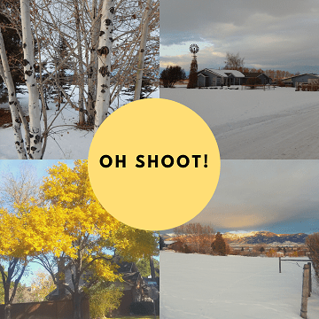 Oh Shoot Volume 6 by Sharon @ Ms P Designs USA