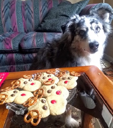 Photobomber or Cookie Thief by Ms P Designs USA
