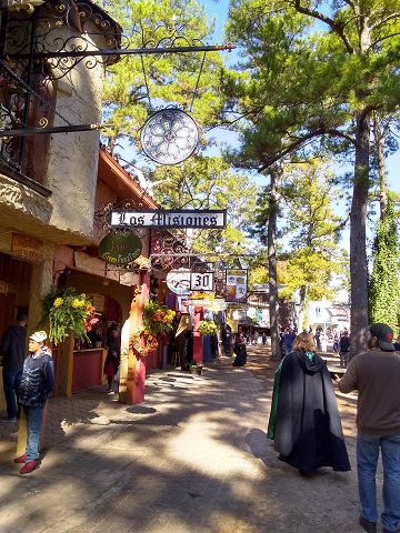 Ren Fest Morning by Sharon @ Ms P Designs USA