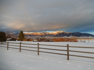 Winter View by Sharon @ Ms P Designs USA