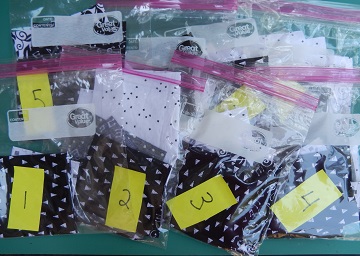 All Cut Up B&W QAL by Ms P Designs USA