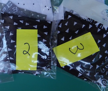 Black and White Delight Quilt Along by Ms P Designs USA