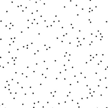 Fabric B, Blossom by Riley Blake Designs