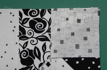 Double Aster D by Ms P Designs USA