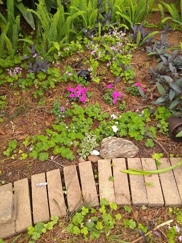 Flowers by Sharon @ Ms P Designs USA