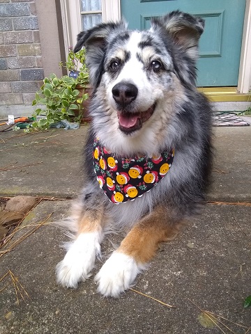 Rowdy December 2021 by Sharon @ Ms P Designs USA