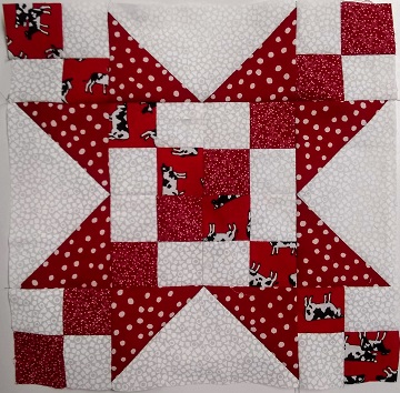 January Sawtooth Star by Sharon @ Ms P Designs USA