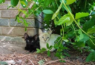 Katniss and baby July 25 2023