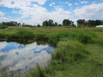 Story Mill Park pond by Sharon @ Ms P Designs USA