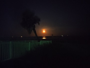 Full Sturgeon Moon by Sharon @ Ms P Designs USA