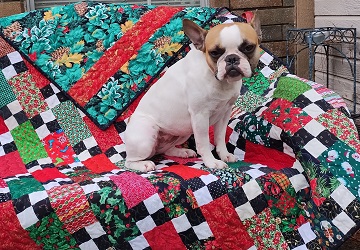 Astrid the cover model by Sharon @ Ms P Designs USA