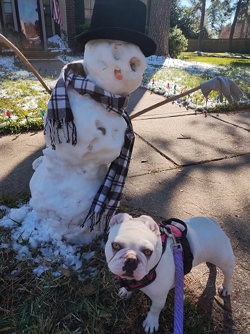 frosty-and-freya-are-friends-by-sharon-40-ms-p-designs-usa