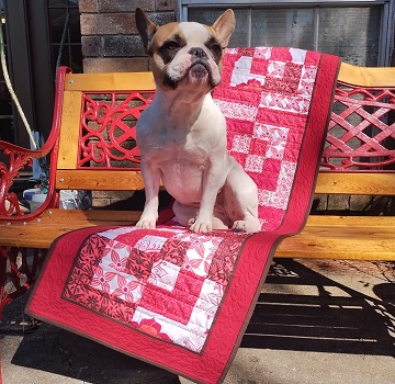 bento-box-table-runner-and-photo-bomber-by-sharon-40-ms-p-designs-usa