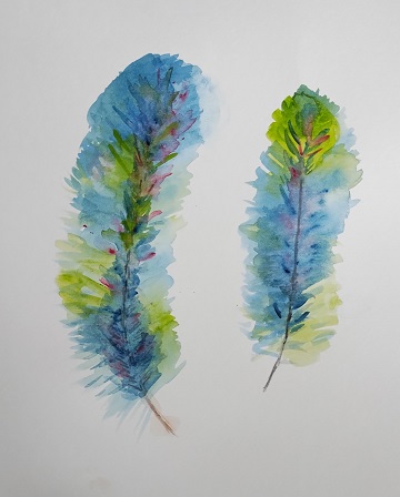 watercolor-feathers-by-sharon-40-ms-p-designs-usa