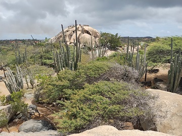 casabari-rock-formation-aruba-by-sharon-40-ms-p-designs-usa