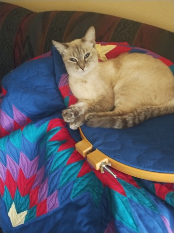 katniss-and-the-cat-bed-quilt-by-sharon-40-ms-p-designs-usa