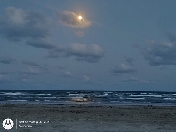 moonrise-over-the-gulf-by-sharon-40-ms-p-designs-usa