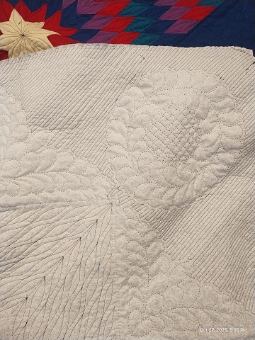 lone-star-back-by-sharon-40-ms-p-designs-usa