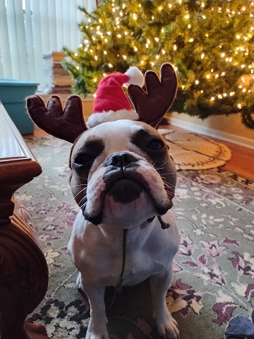 astrid-christmas-hat by Sharon @ Ms P Designs USA