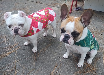 christmas-coats by Sharon @ Ms P Designs USA