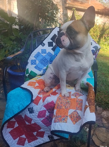 astrid-with-satisfaction-by-ms-p-designs-usa.