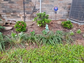 spring-2026-b-by-sharon-40-ms-p-designs-usa