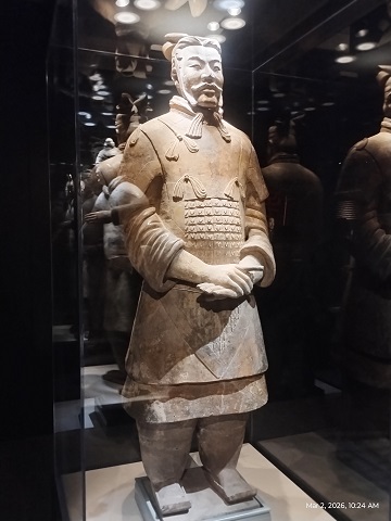 terra-cotta-general-by-sharon-40-ms-p-designs-usa