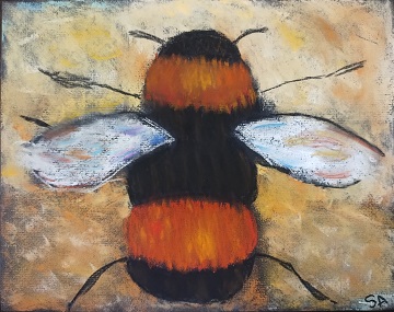 pastel-drawing-by-sharon-40-ms-p-designs-usa