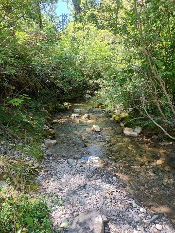 middle-cottonwood-creek-by-sharon-40-ms-p-designs-usa