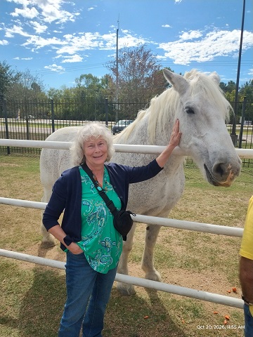 houston-mounted-patrol-tour-9-by-sharon-40-ms-p-designs-usa