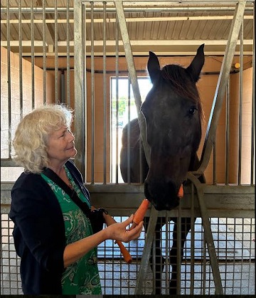 houston-mounted-patrol-tour-by-sharon-40-ms-p-designs-usa