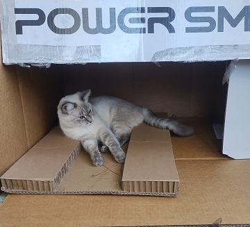 katniss-mower-box-home-by-sharon-40-ms-p-designs-usa